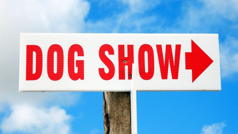 DOG SHOW