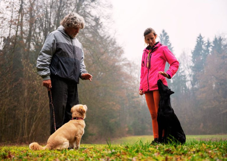 dog trainer (2)